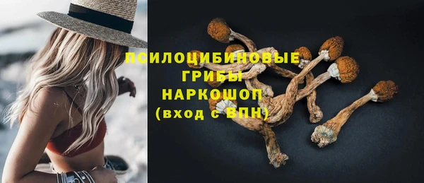 спиды Тавда