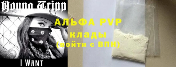 спиды Тавда