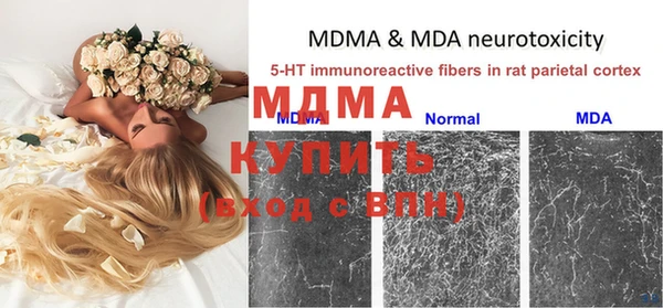 спиды Тавда