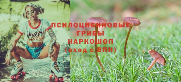 спиды Тавда