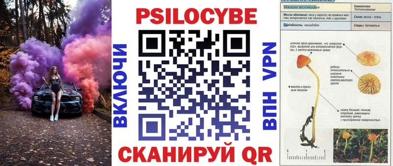 Галлюциногенные грибы MAGIC MUSHROOMS  Купить где  Саров 